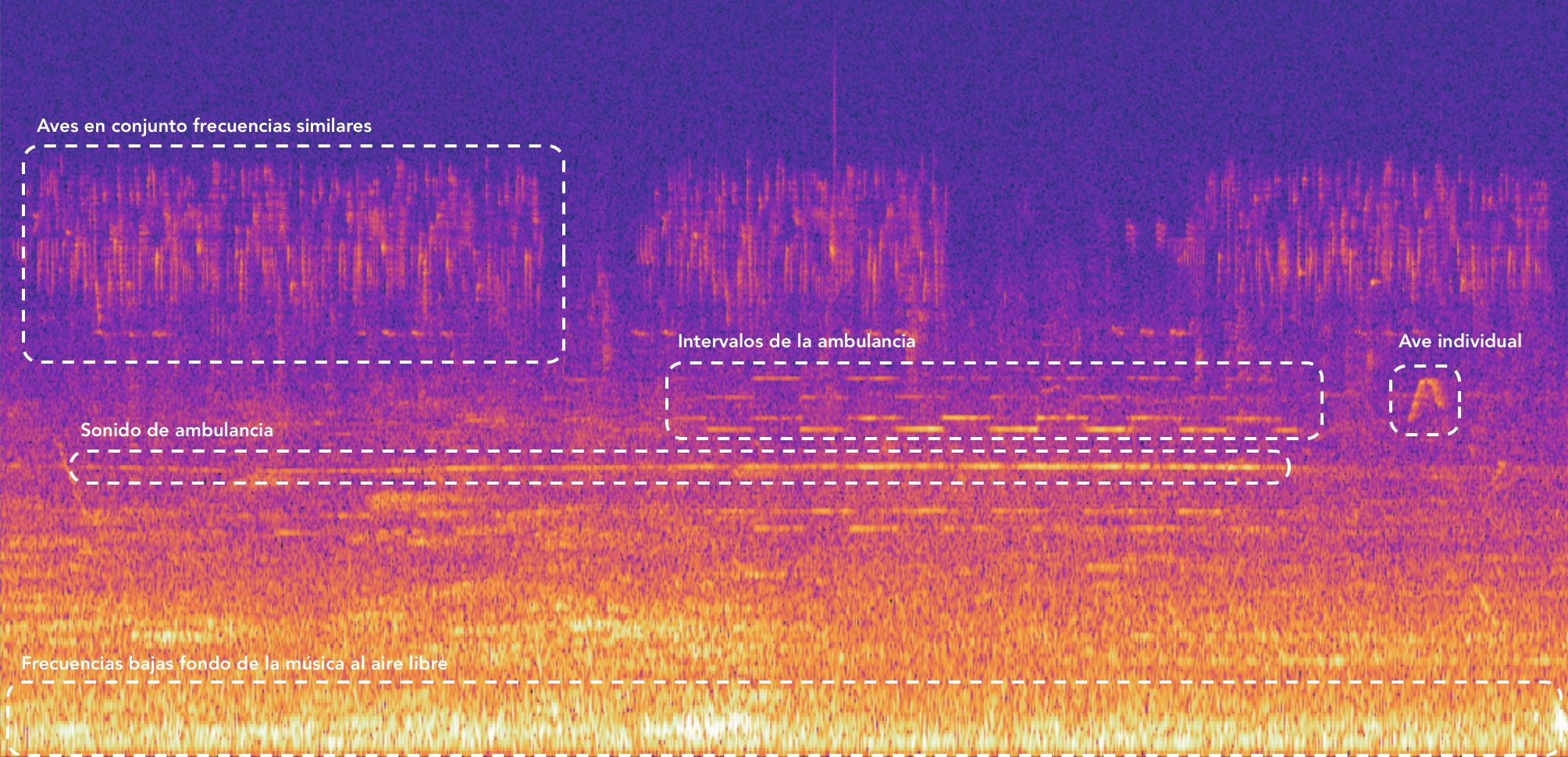 Análisis y monitoreo