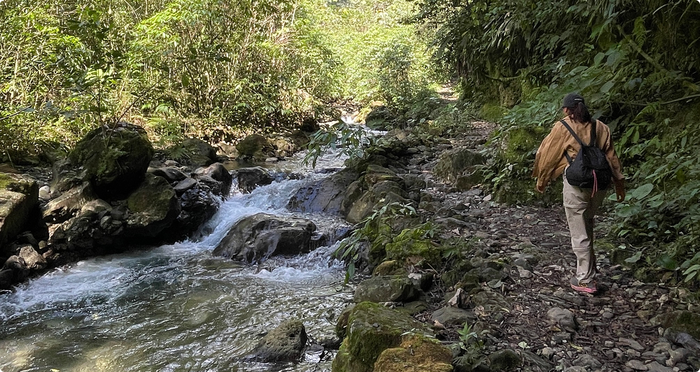 Persona caminando junto a un río en la selva, escuchando el entorno